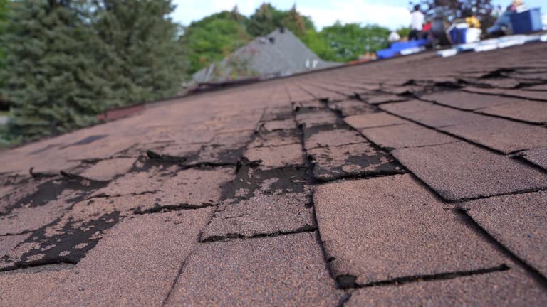 Best Roof Coating and Sealing  in Sheldon, IL