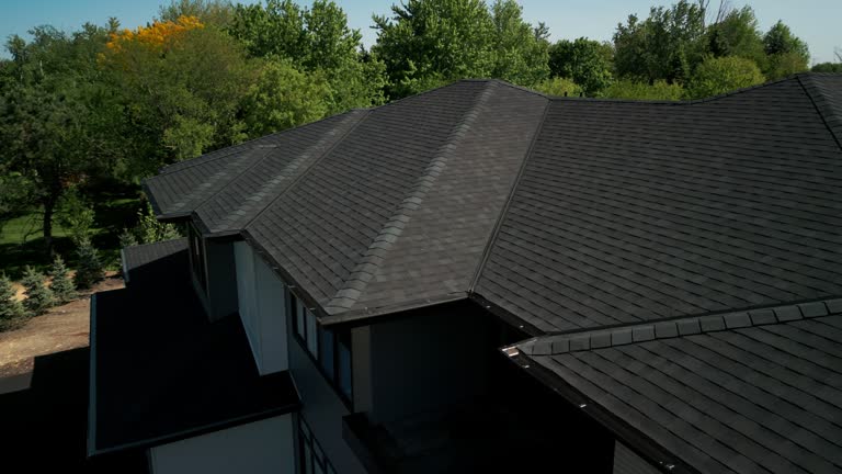 Best Rubber Roofing (EPDM, TPO)  in Sheldon, IL