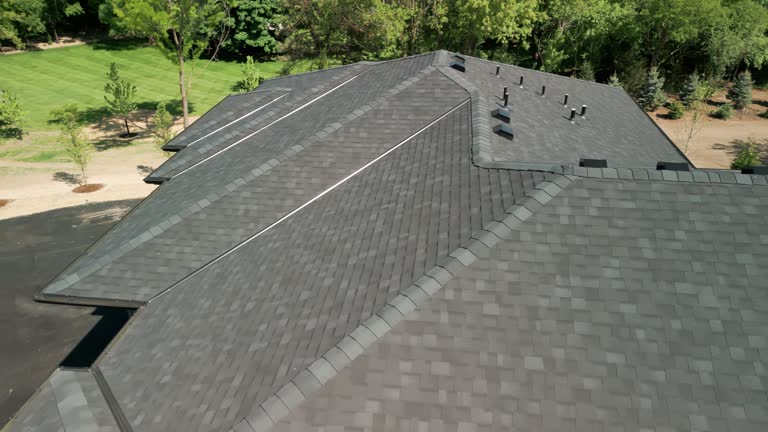 Best Asphalt Shingles Roofing  in Sheldon, IL