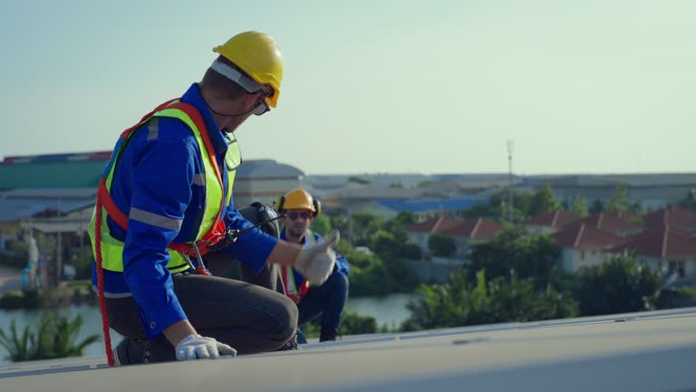 Best Gutter Replacement  in Sheldon, IL