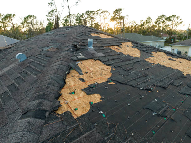 Steel Roofing in Sheldon, IL