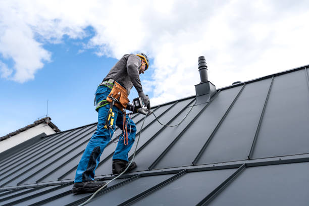 Best Steel Roofing  in Sheldon, IL