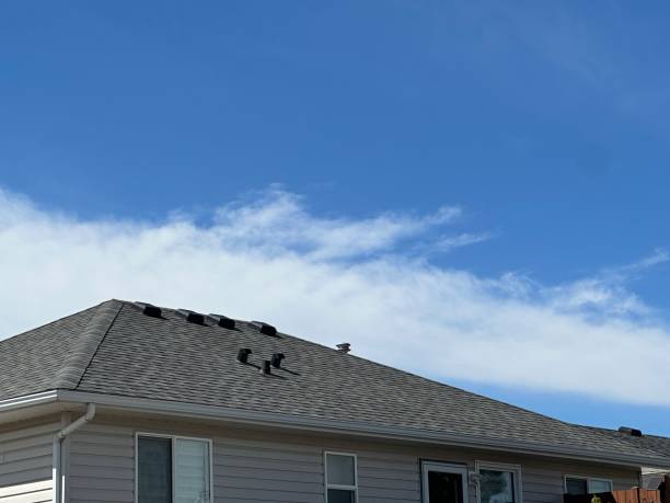 Reliable Sheldon, IL Roofing Service Solutions